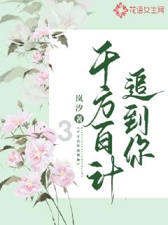 麦克斯：兄弟魔咒