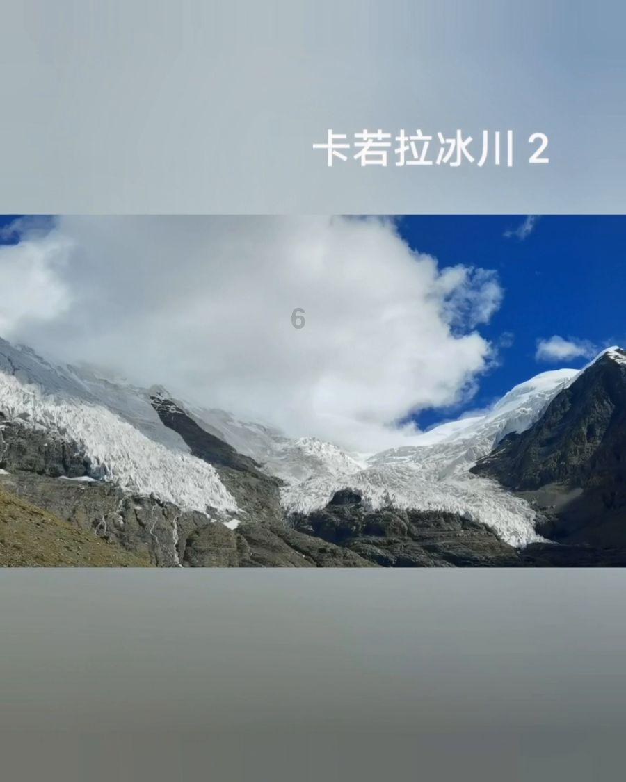 植物最不喜欢什么光游戏画面